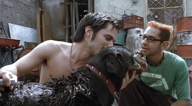 Klassieker Amores Perros wordt tv-serie