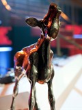 Hendrik Groen wint Gouden Kalf voor ‘beste drama’