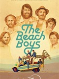 The Beach Boys krijgen nu ook een eigen serie