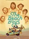 The Beach Boys krijgen nu ook een eigen serie