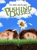 Komt er een derde seizoen van Pushing Daisies?