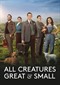 All Creatures Great And Small (NPO2)