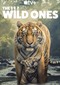 The Wild Ones (doc) (Apple TV+)