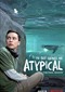 Atypical s4 (Netflix)