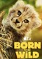 Born To Be Wild (doc) (Apple TV)