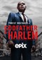Godfather Of Harlem s2 (VTM 3)