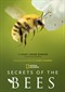 Secrets Of The Bees (doc) (Disney+)