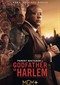 Godfather Of Harlem s3 (VTM 2)