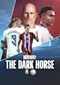 Norway: The Dark Horse (doc) (Netflix)