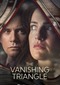 The Vanishing Triangle (VRT Canvas)